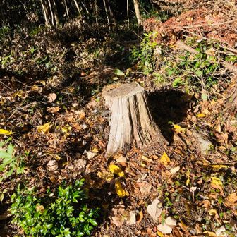 宮山
この気をピーク認定