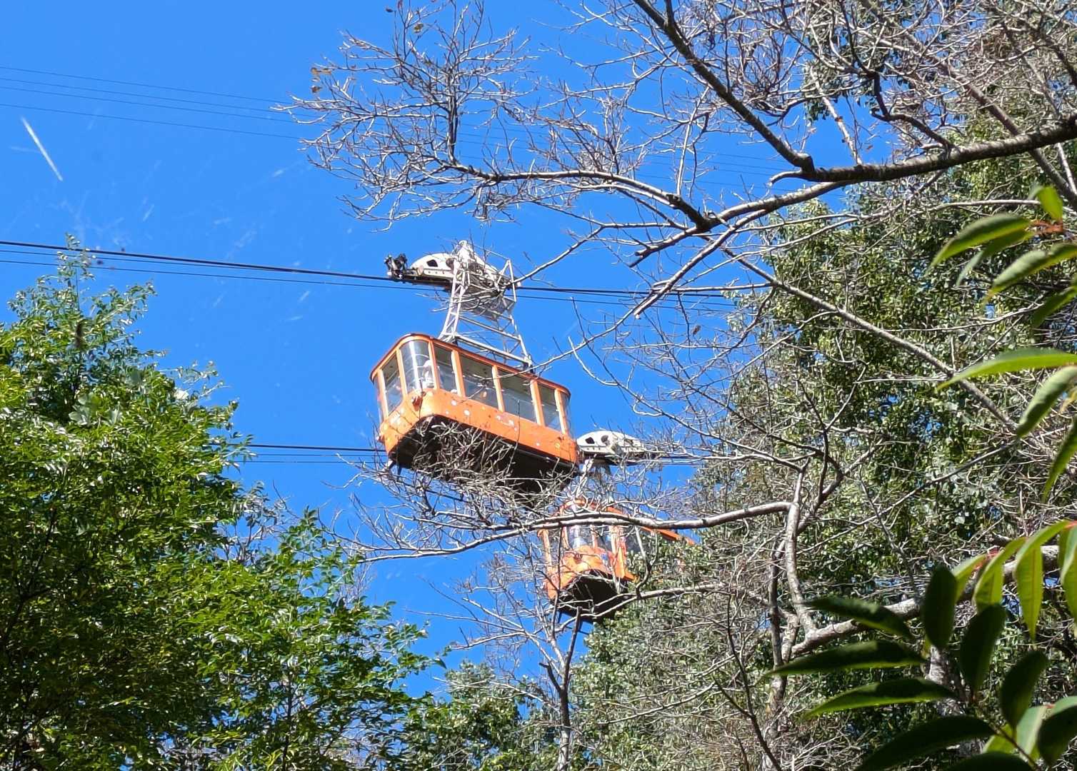 お〜✨
頭上にロープウェイ🚡