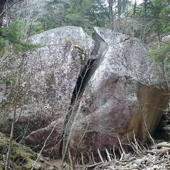 おでかけ金ちゃん