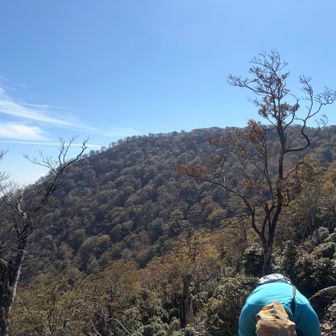 山頂が見えてきました✨