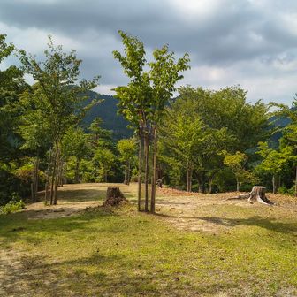 高城山山頂に。標高698m