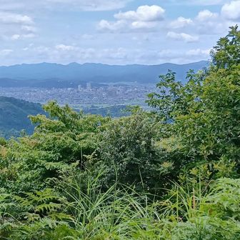 山頂から福井市中心部。ベンチまわりが刈り込まれて、よいスポット。