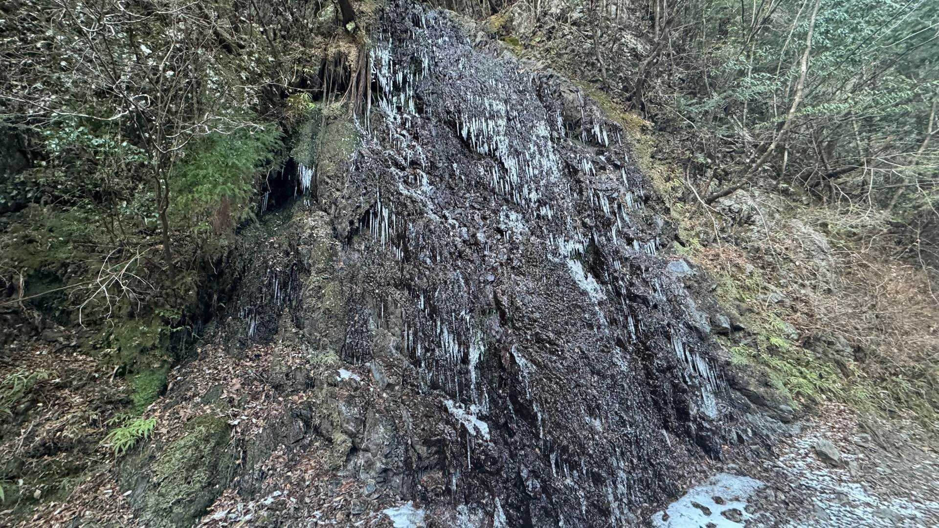 氷柱いっぱい！
