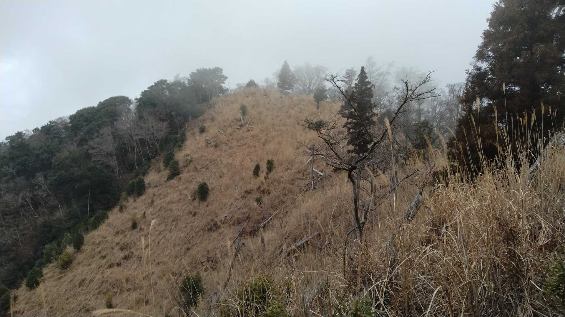 目指す山頂