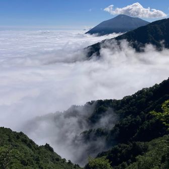 雲海の上に浮かんでいるのは男体山でした