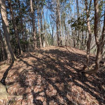 頂上はこんな感じ✨