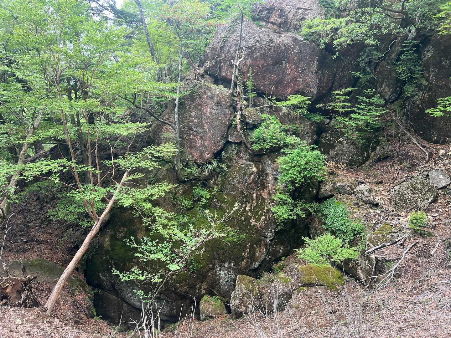 写真じゃわかりにくいがとんでもない巨石。