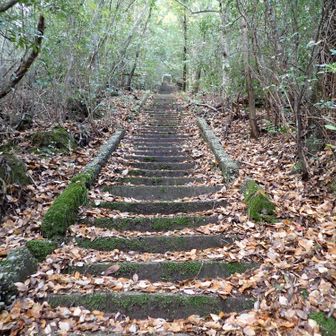 階段は崩れまくっていて歩きにくいところもある