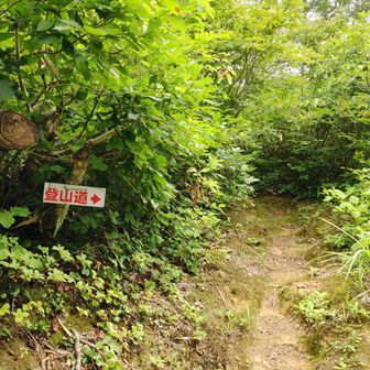 菱ヶ岳登山口は歩いてすぐ。