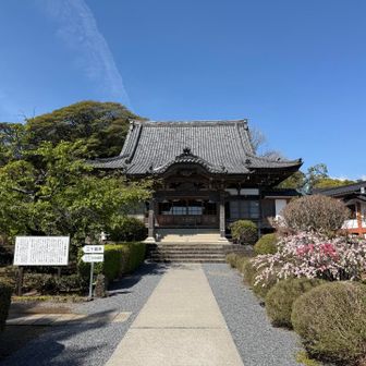 旅の安全をお願いして来ました。