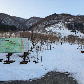 今回は雪が多い気がする❄