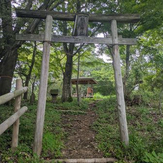 山頂手前の鳥居