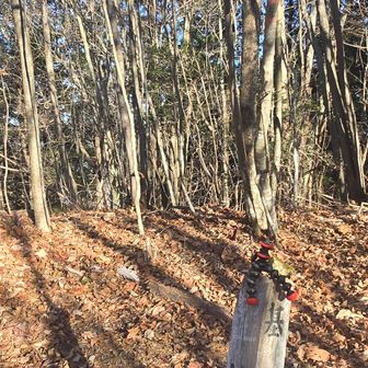 おつかれ山～⛰️