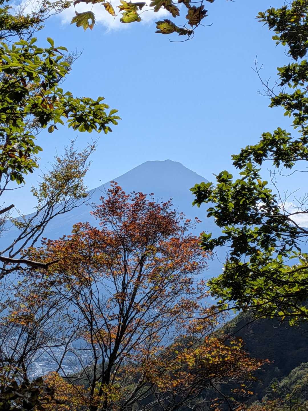 御坂峠-カネ山-御坂山-観音平山-旧御坂峠-コブ岩ノ頭-御 縦走コースの写真