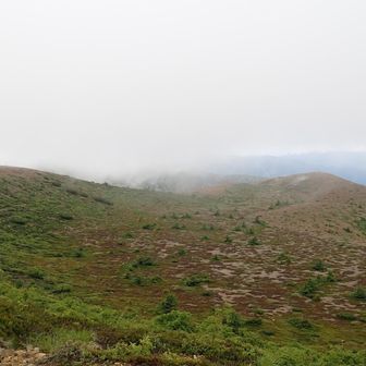 右奥のP2138位までは行けるらしい👍
晴れていれば壮大な景色を見ながらの稜線歩きができそう🤩