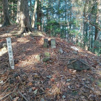 山頂手前の四等三角点（金箱　885.93m）
