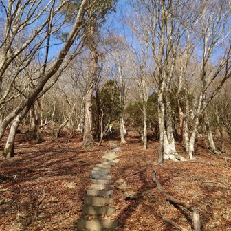 膝ガクガクの帰りの階段🤮段々好きの方は是非😄