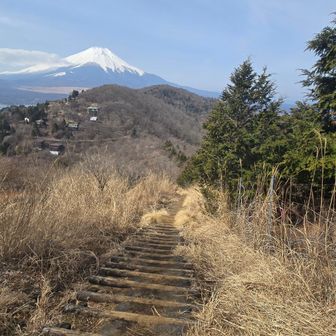 平尾山から大平山までは稜線歩き。アップダウンはありますが富士山に向かって歩けて気持ちがいいです。