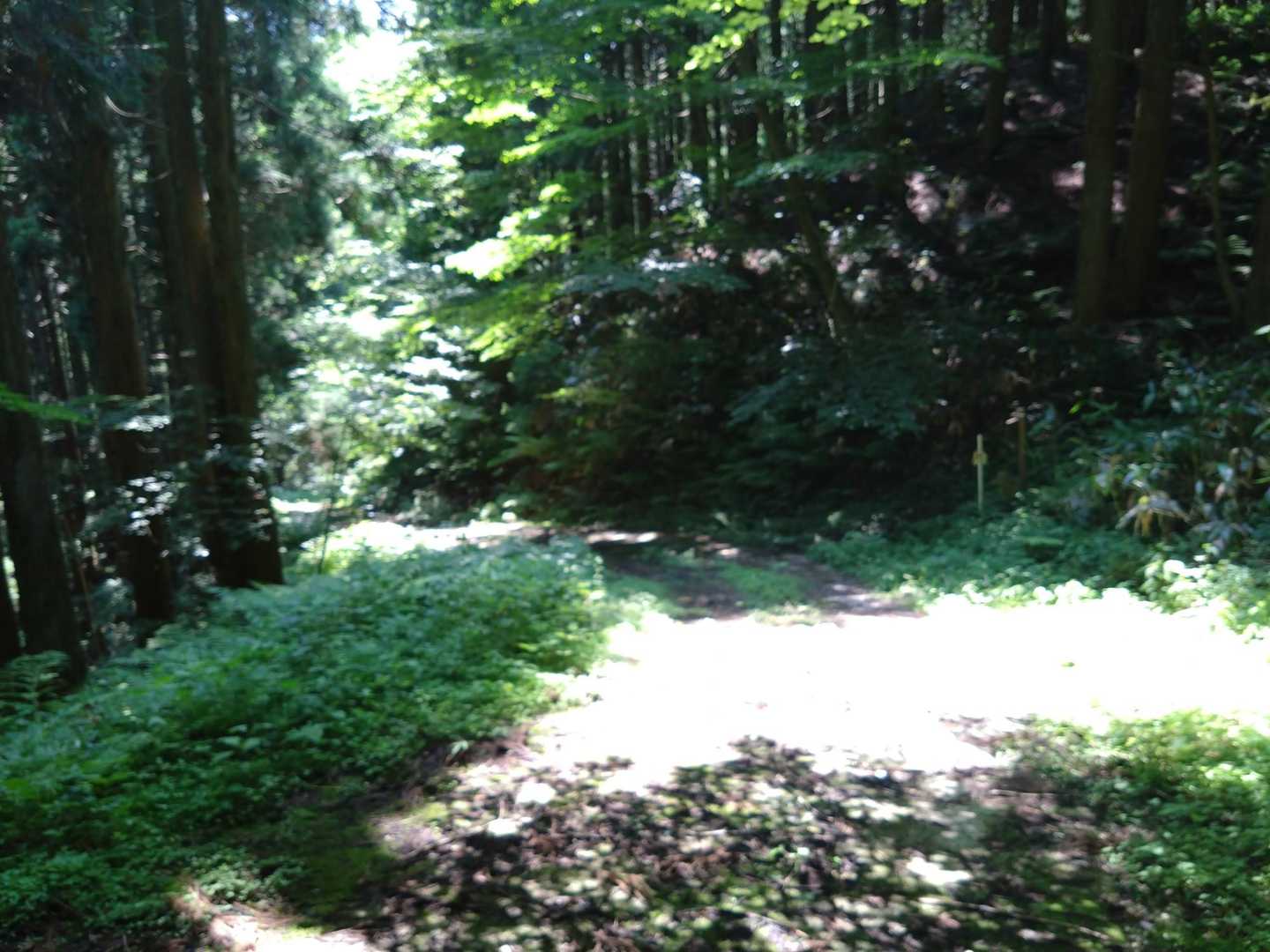 剣山 往復コースの写真