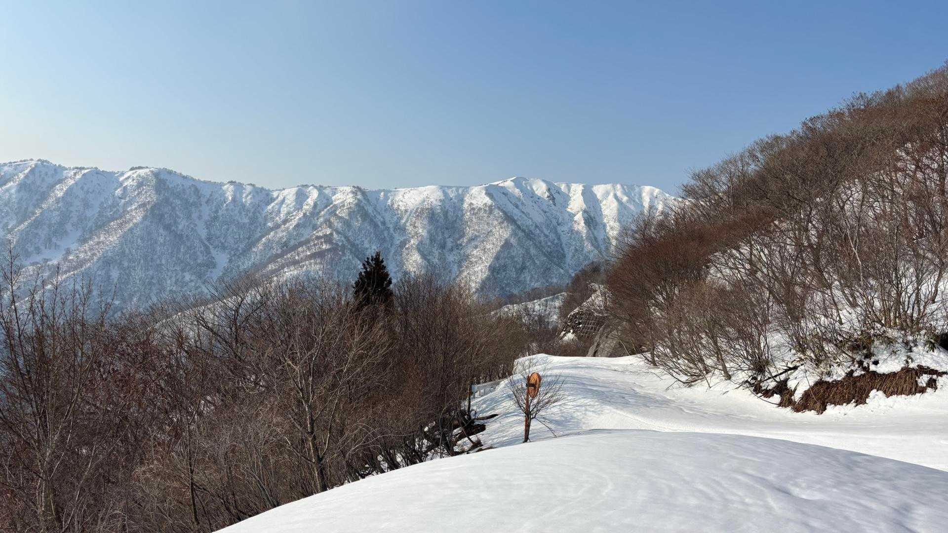 奥山-白倉岳-金糞岳 縦走コースの写真