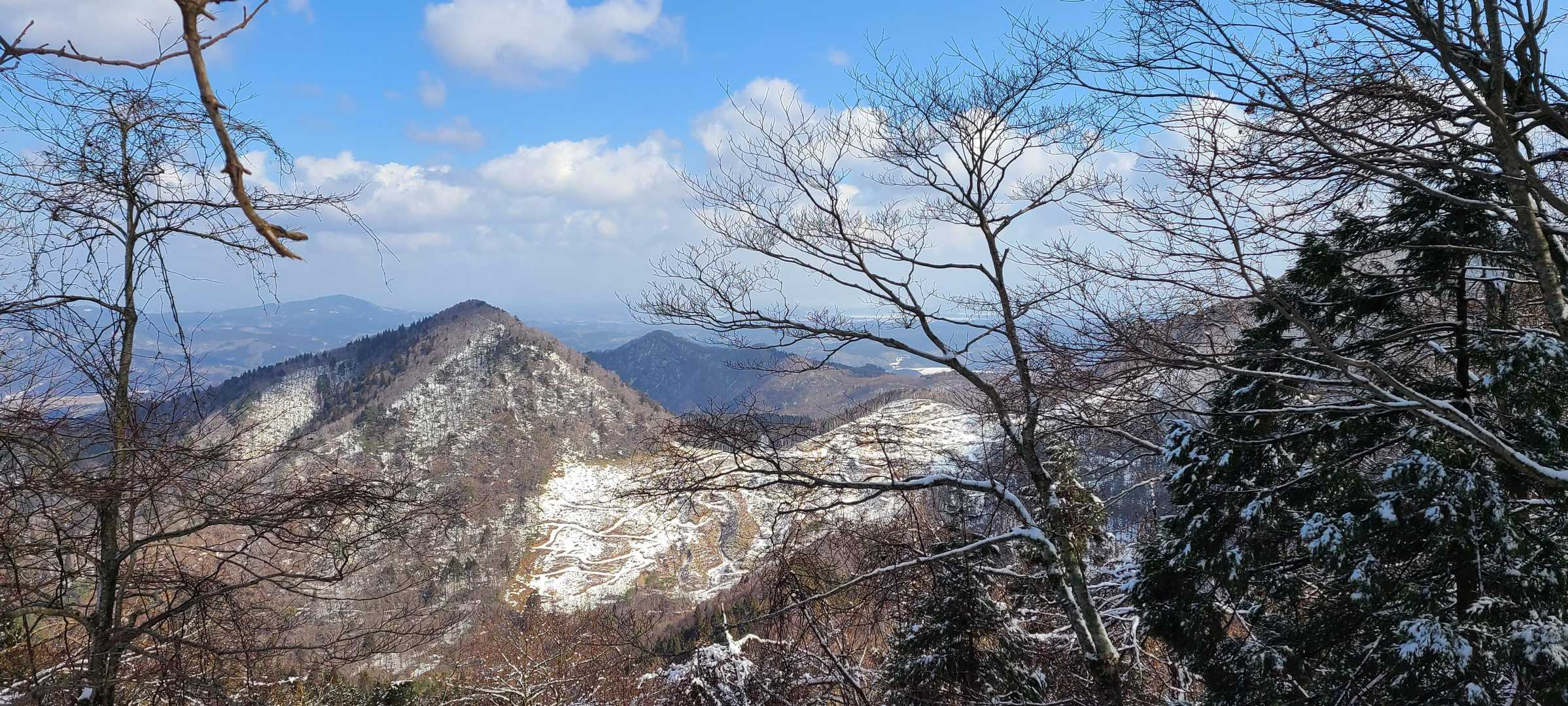 東光山登山口-東光山 往復コースの写真
