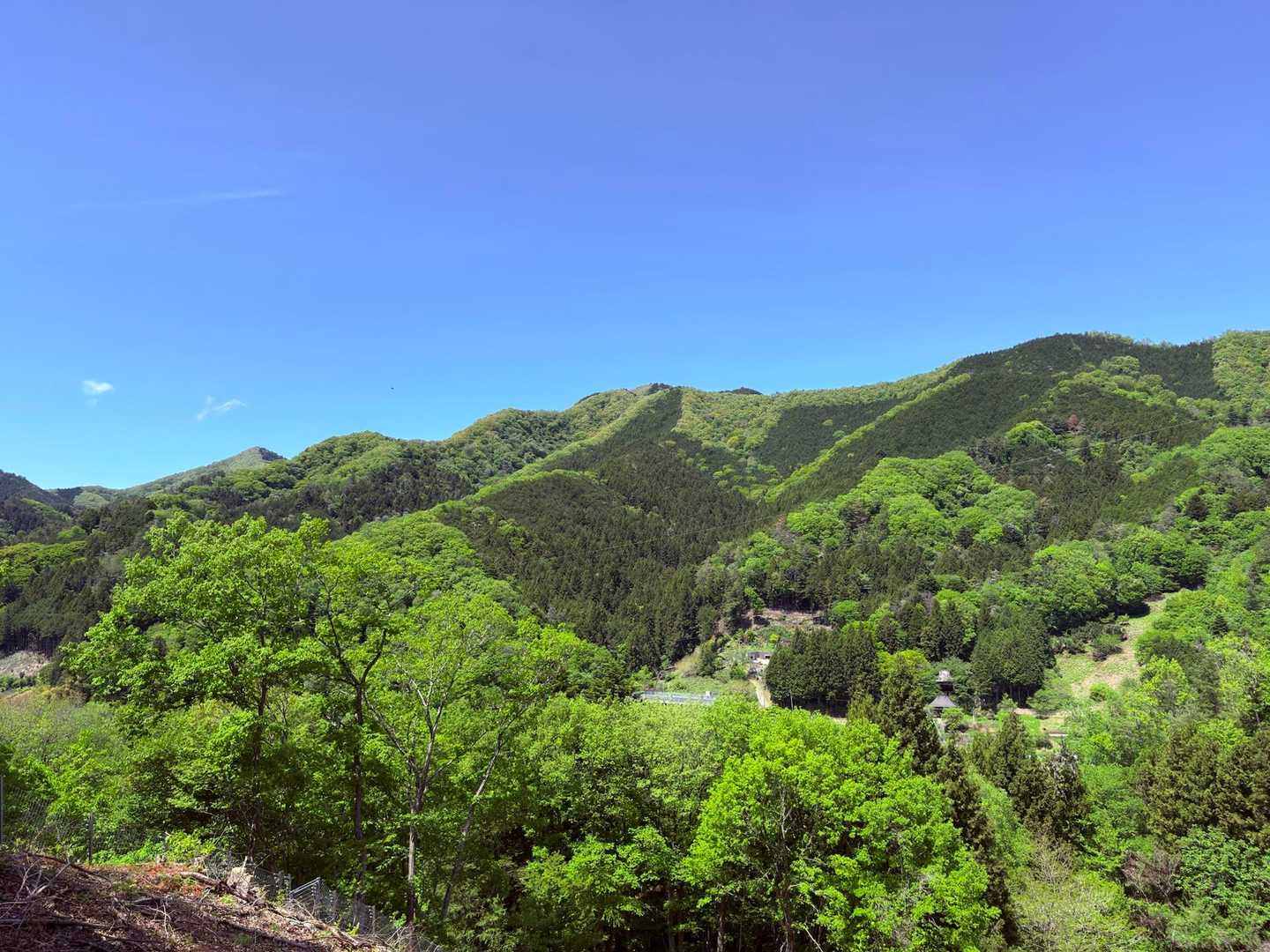 県道向かいの山々
この時期の山を見ると抹茶パフェを思い出すのは私だけ？