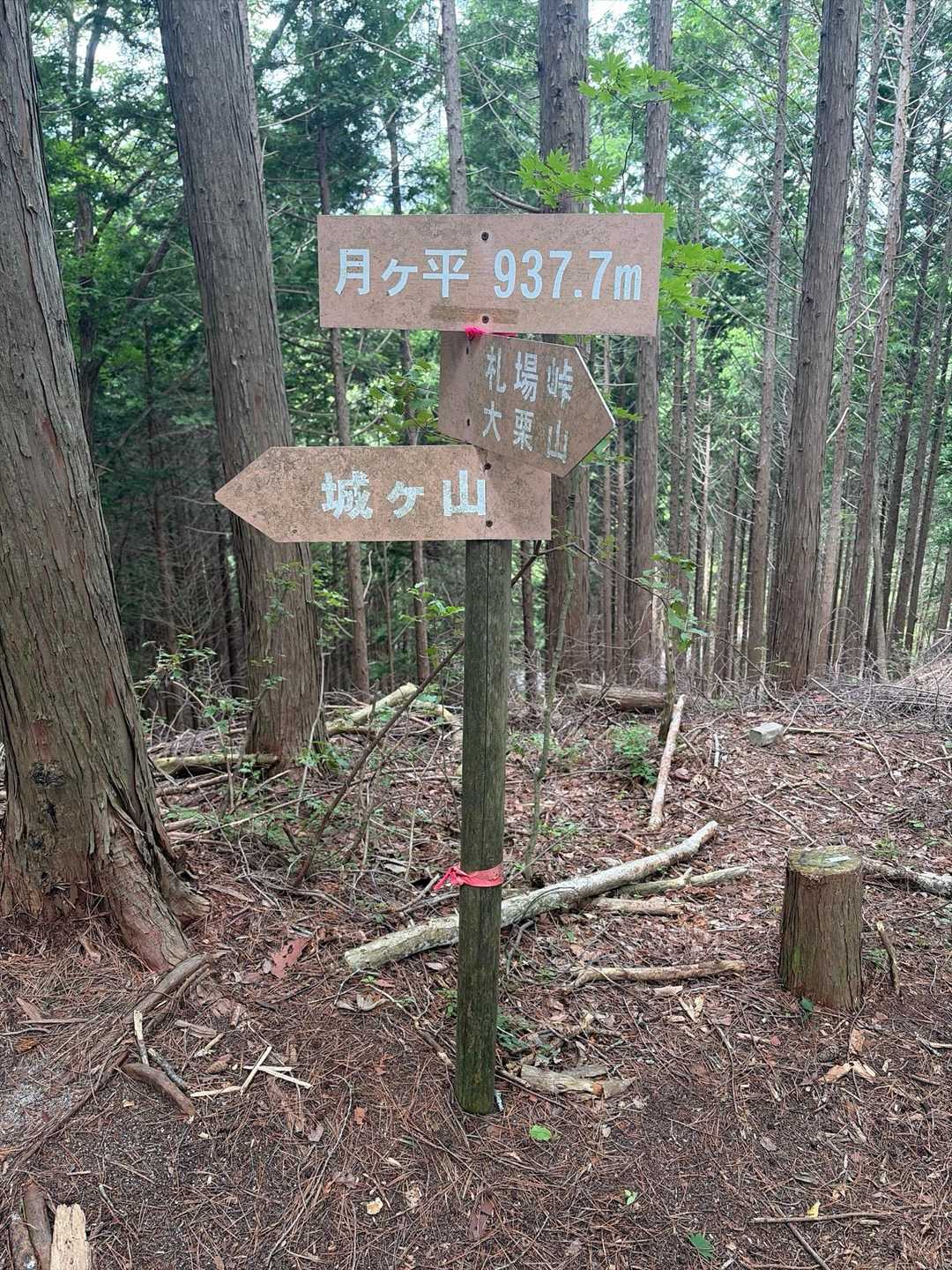 大栗山-月ヶ平 往復コースの写真