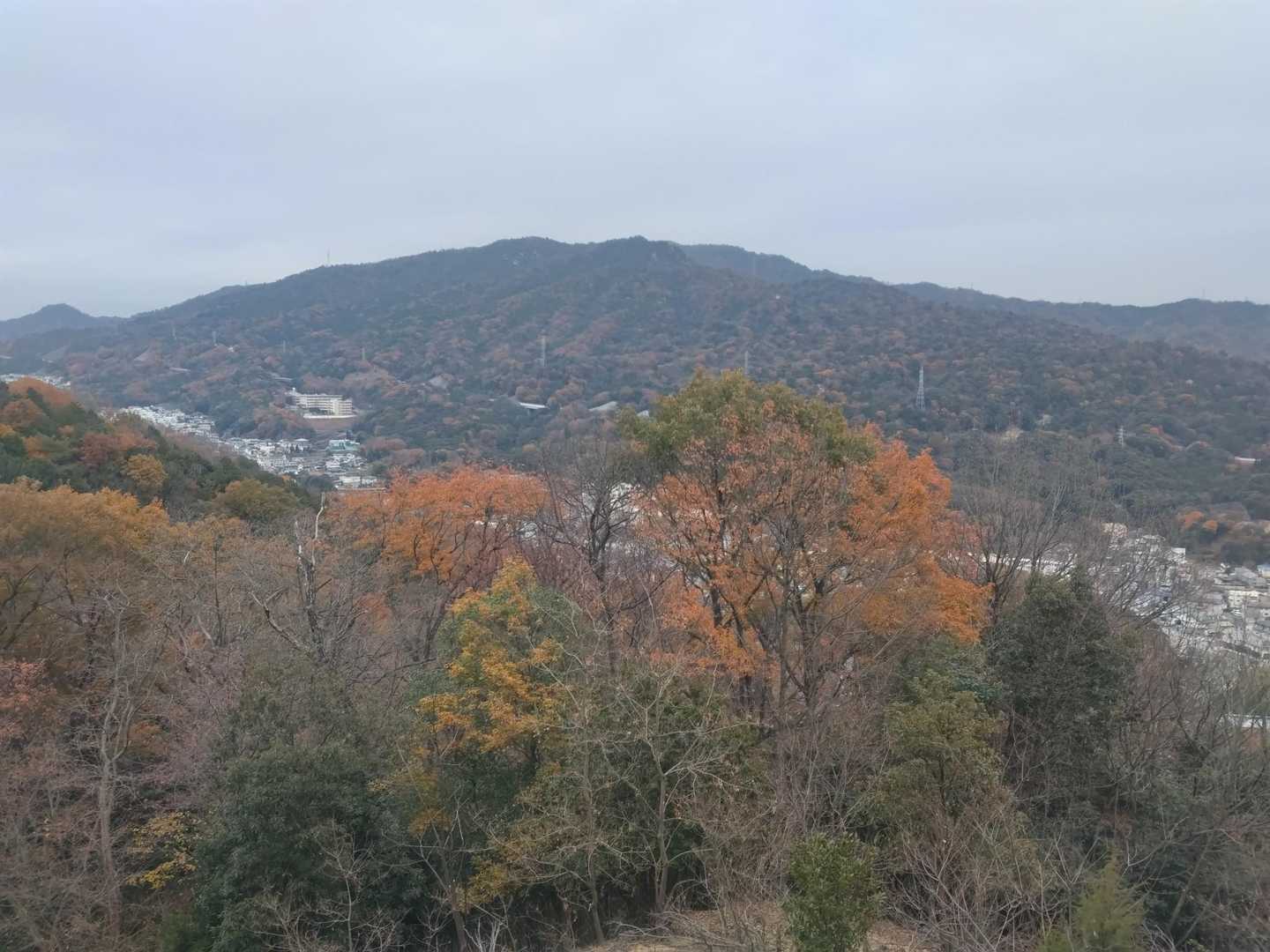 展望広場から呉娑々宇山