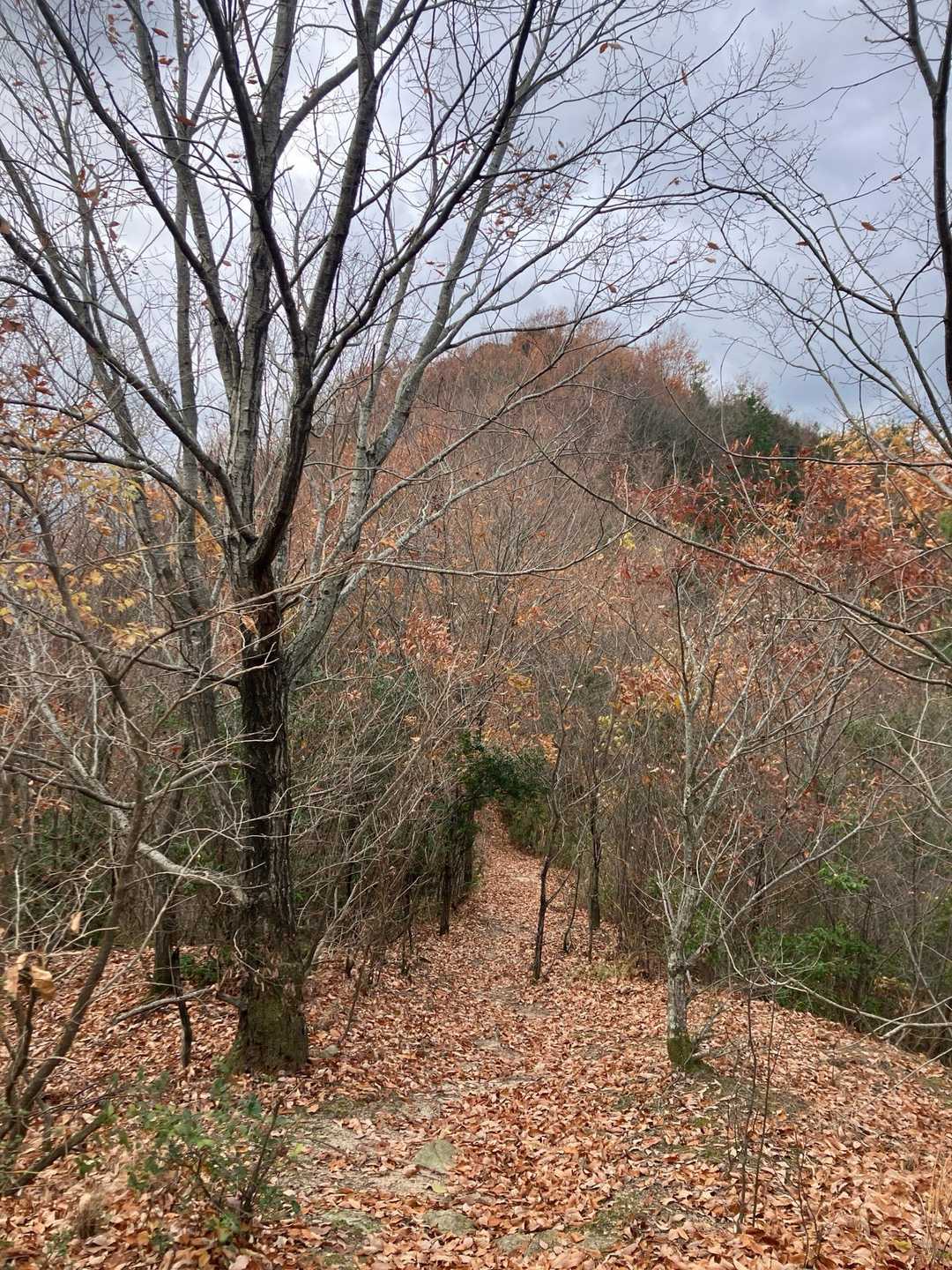 東屋-岩幕山 周回コースの写真