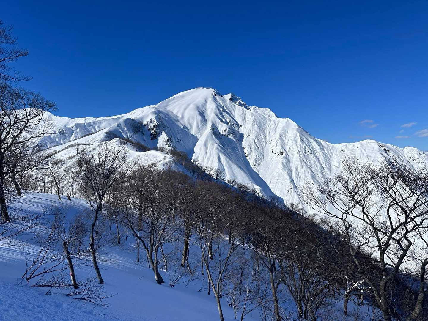 登山入口-熊穴沢ノ頭 往復コースの写真