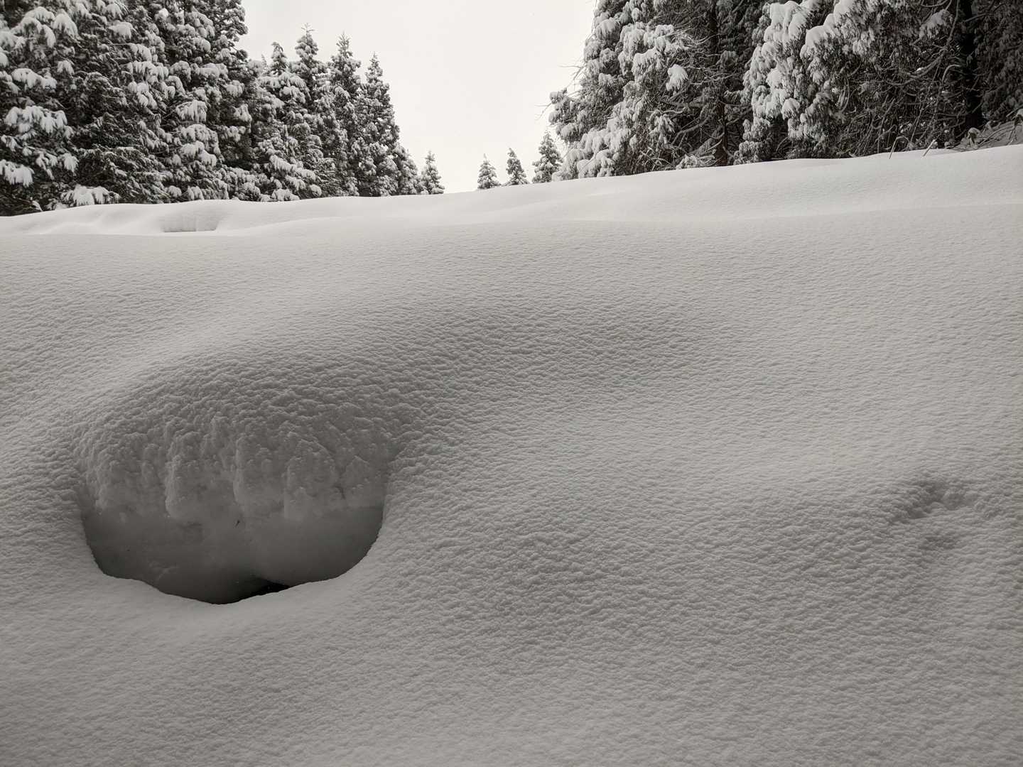 雪見だいふくの上をずっと歩いてる感じ😍