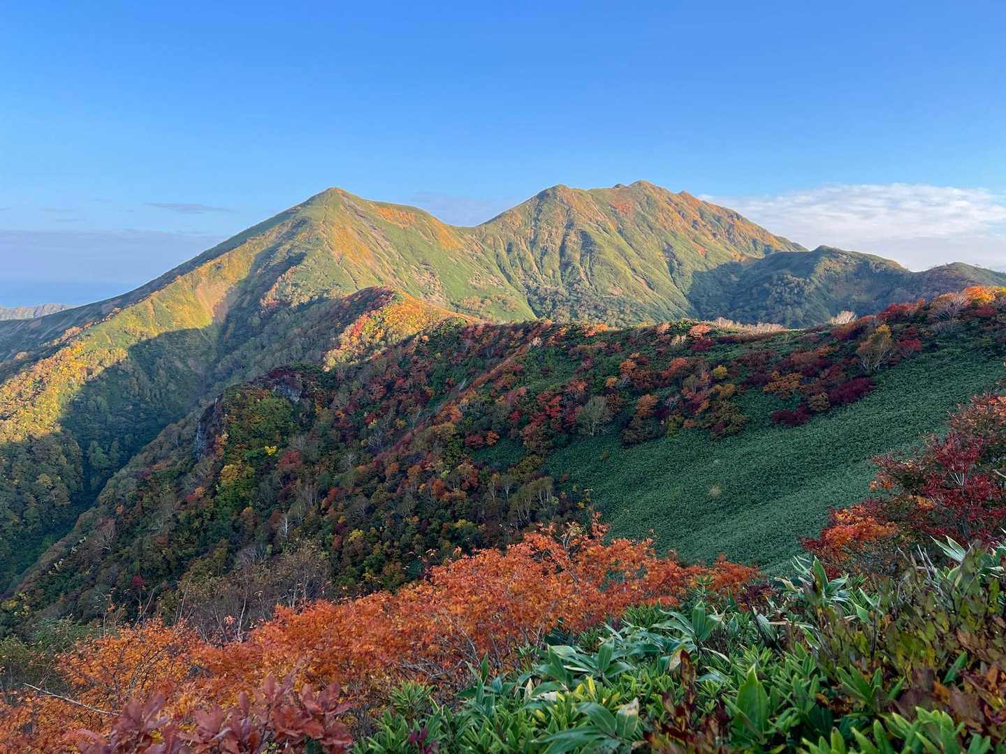 期待以上