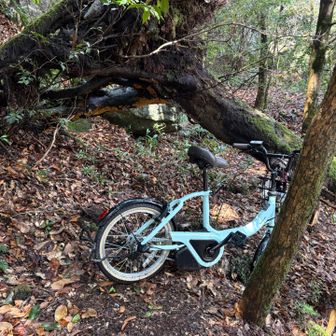 宮崎からミカエルさんが来福。彼女の出発地点は脊振山の山頂駐車場でした。私は３時間遅れで、しかも椎原峠🚗から出発してしまった。
結果、私はここからでよかった😅。

何故か中腹の山道に電動自転車が😱。どうやって漕いできたのかなあ。