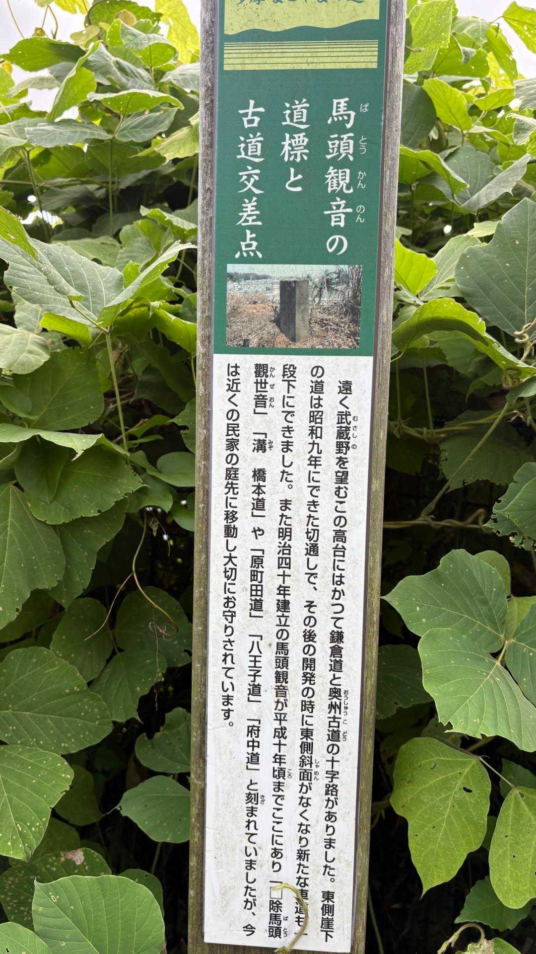 多摩ニュータウンが開発され、こういった場所もかなり失われたのですね
馬頭観音像が民家の庭先で大事にされていて良かった
