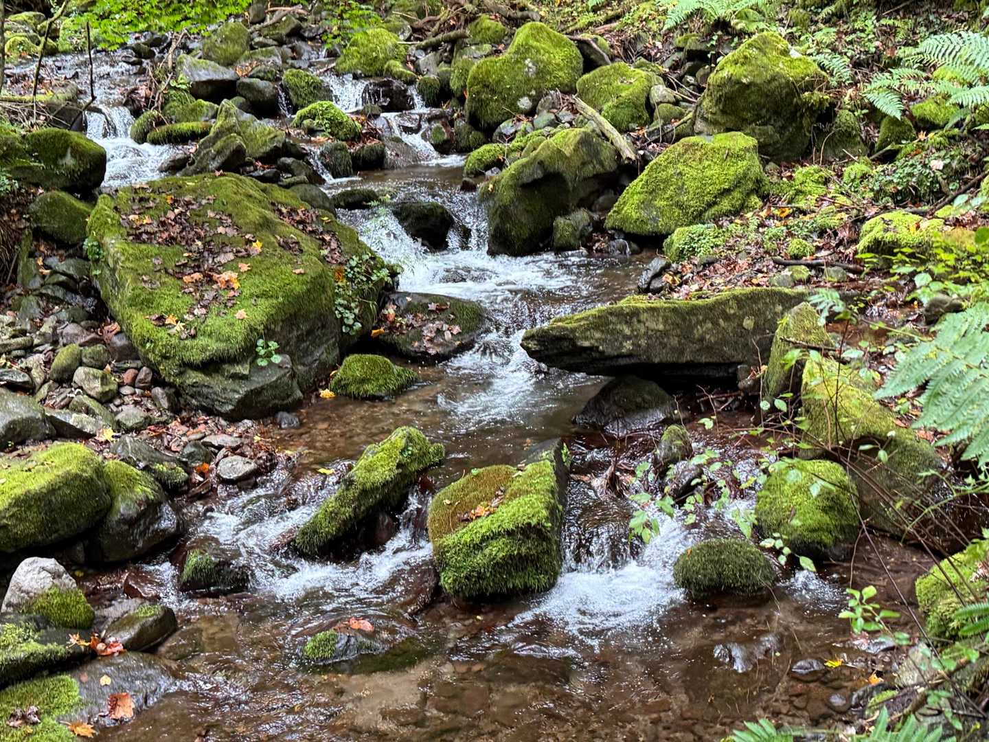 水がきれい