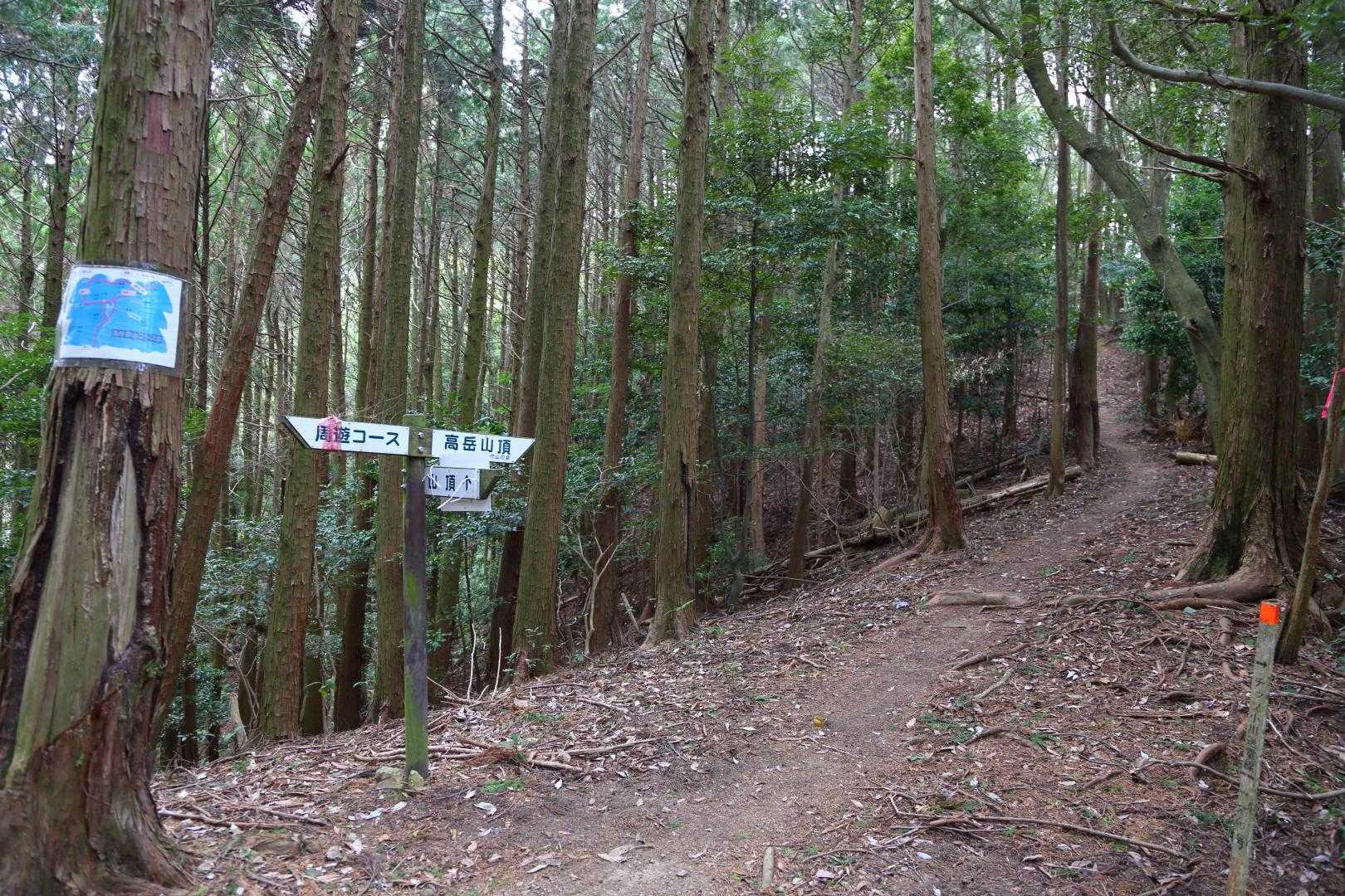 高岳登山口-高岳 往復コースの写真