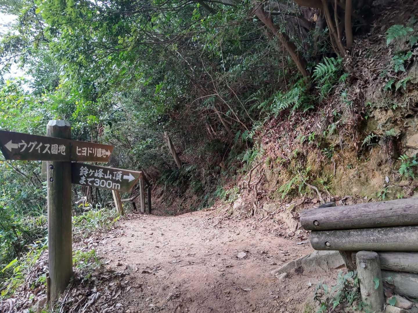登りはひよどり園地ルートを選択
正面から来て、右後方へ登る