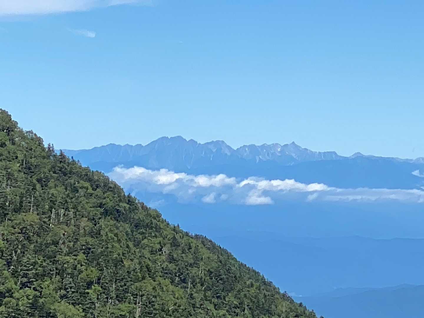 北沢峠-小仙丈ヶ岳 往復コースの写真