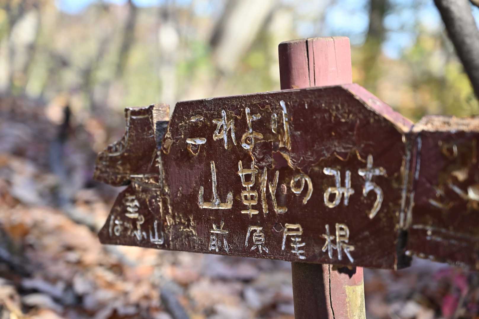 可愛い標識。