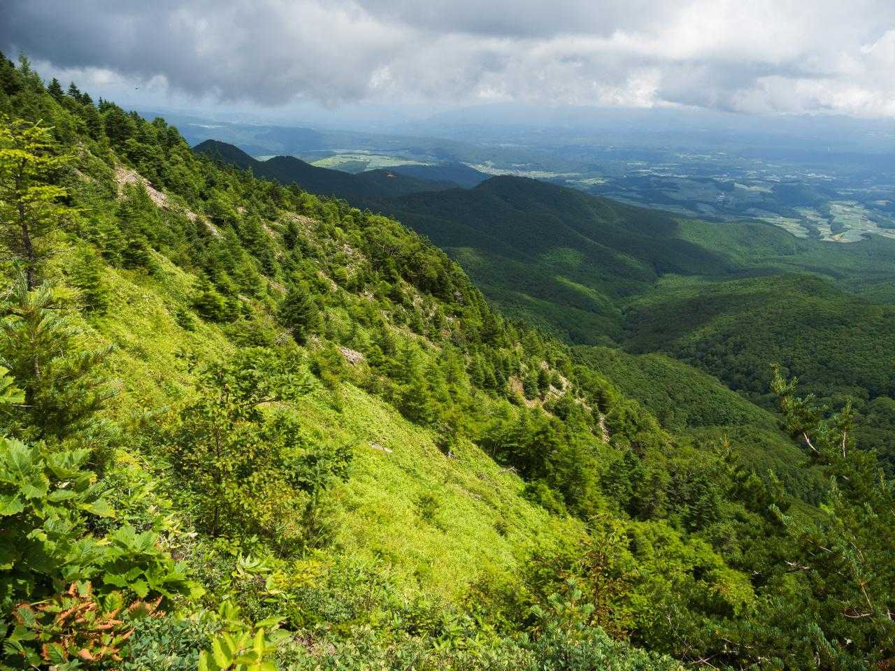 四阿山-花童子の宮跡 周回コースの写真