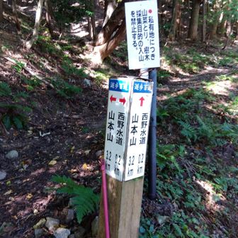 山本山の登山口