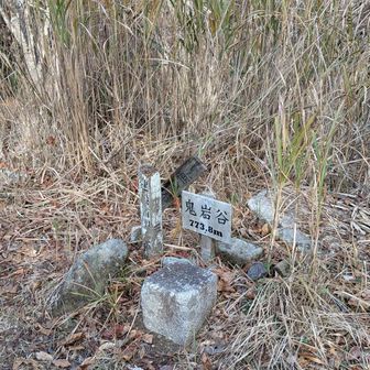 鬼岩
このあとまた登山道で
木に頭をぶつける😭
本日二度目😵
前はしっかり見ないと危ない