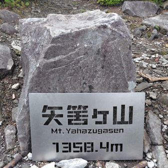 頂上    何となく覚えてます
