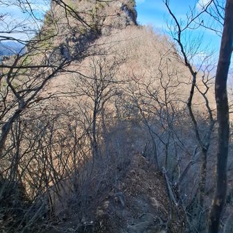 細尾根⚠️下山