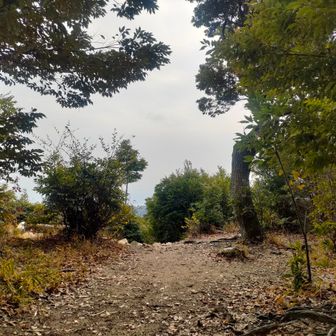 薄ねずみ色の空