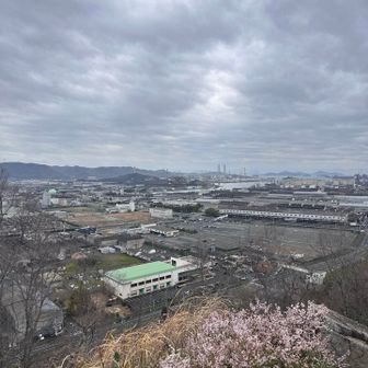 山頂からの景色