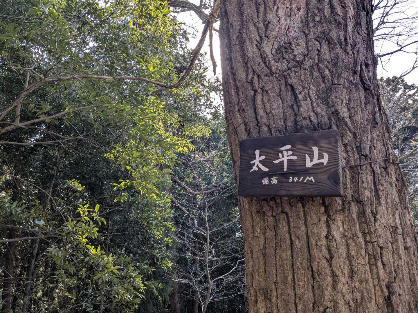 とうとう来れた太平山⛰️341m