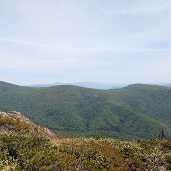 五葉山