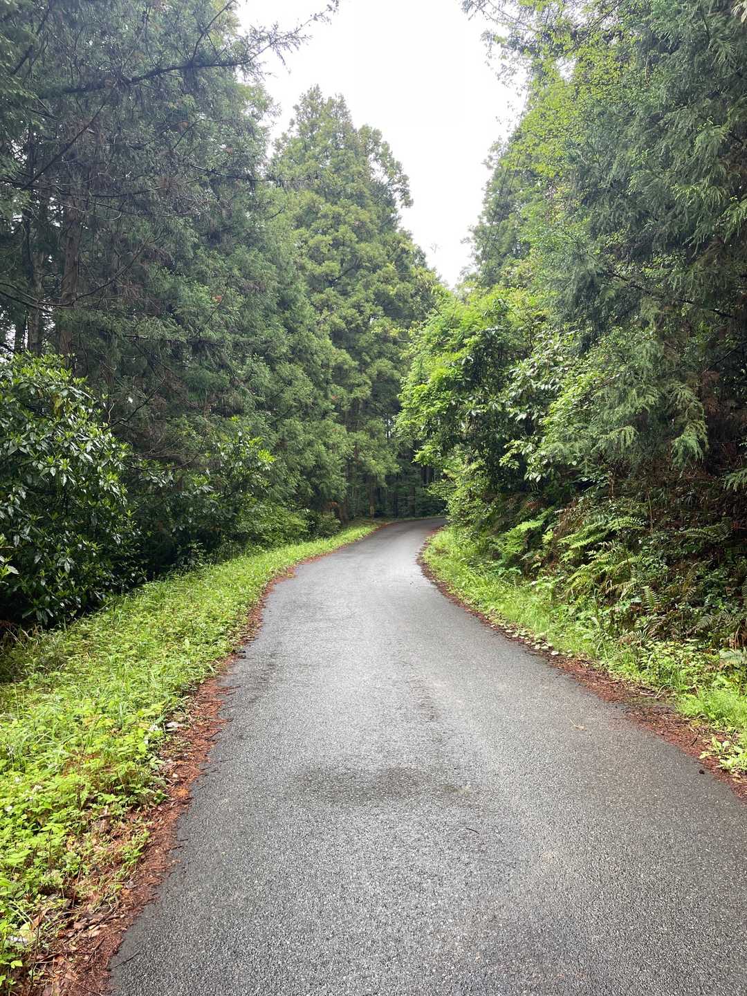 ずっとアスファルトを歩くと山頂に着きます😅
