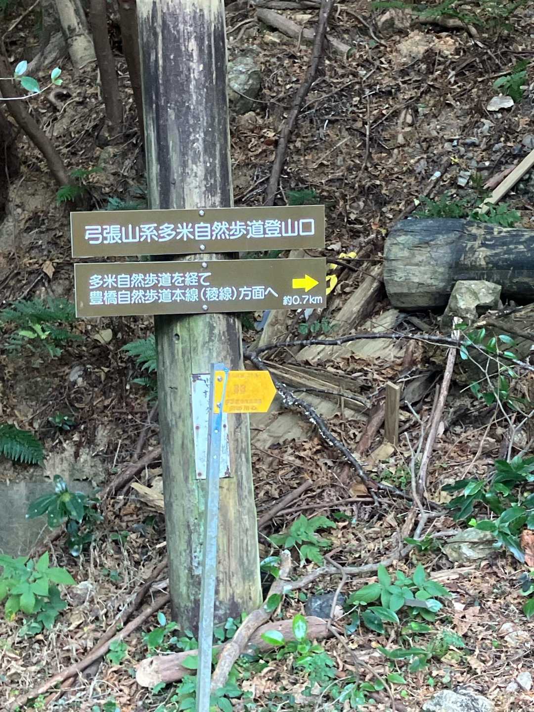 一般舗装路を少しだけ歩いて、
この登山口から登って行きました。